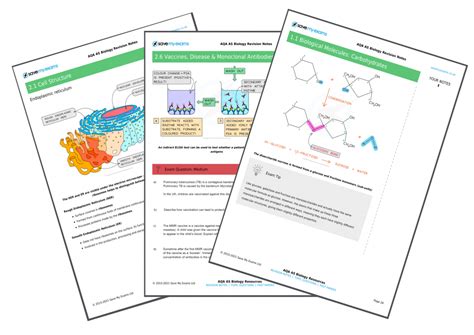 save my exams biology|savemyexams biology revision notes.